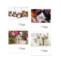 FAR ALBUM CUCCIOLI 13x19 200F  ACOL05 200CUC